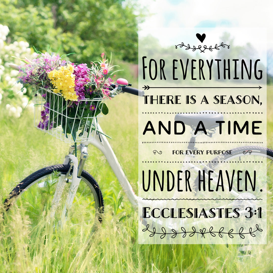 Inspirational Verse of the Day - For Everything There Is a Season