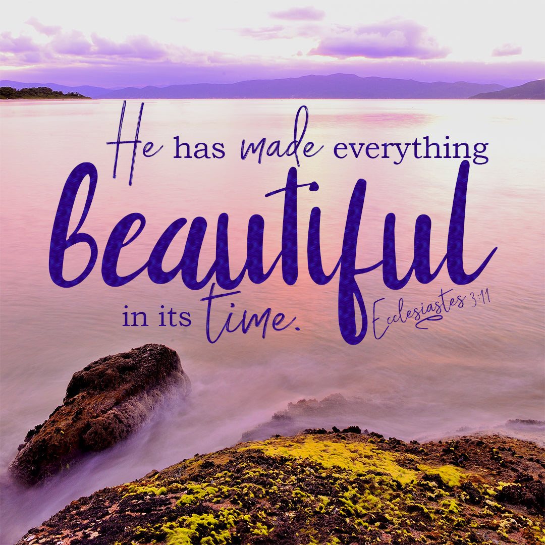 Inspirational Verse of the Day - Beautiful in its Time