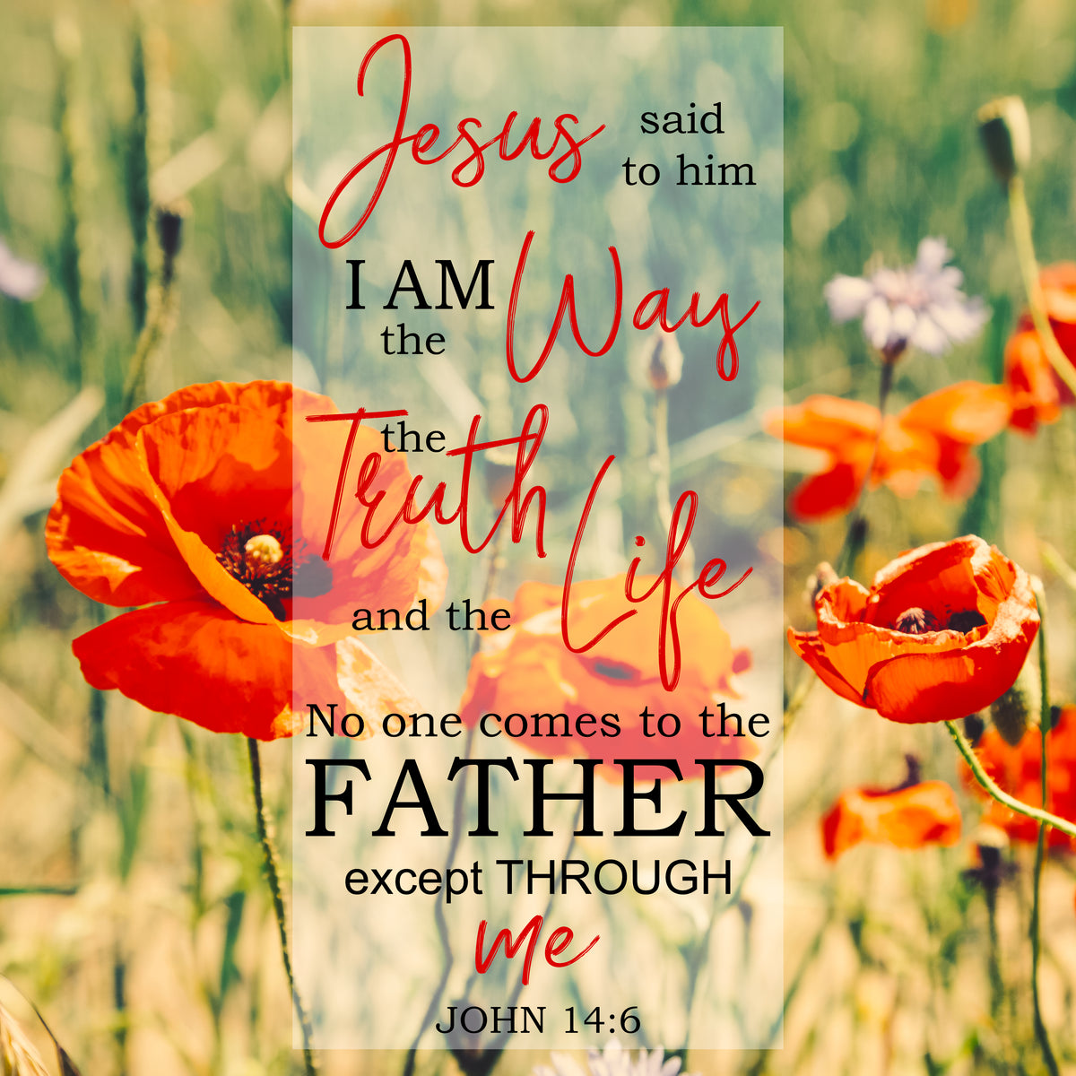 John 14:6 - I Am the Way - Bible Verses To Go