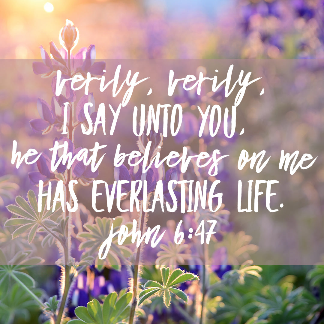 John 6:47 - Everlasting Life - Bible Verses To Go