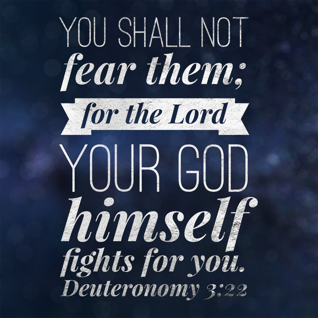 Deuteronomy 3:22 - God Fights for You - Bible Verses To Go