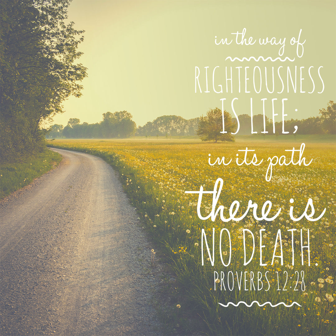 Proverbs 12:28 - Way of Righteouness - Bible Verses To Go