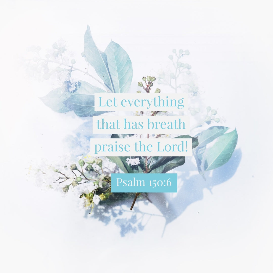 Psalm 150:6 - Praise the Lord - Bible Verses To Go
