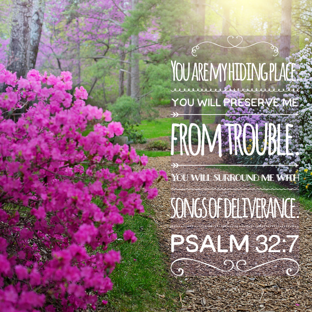 Psalm 32:7 - My Hiding Place - Bible Verses To Go