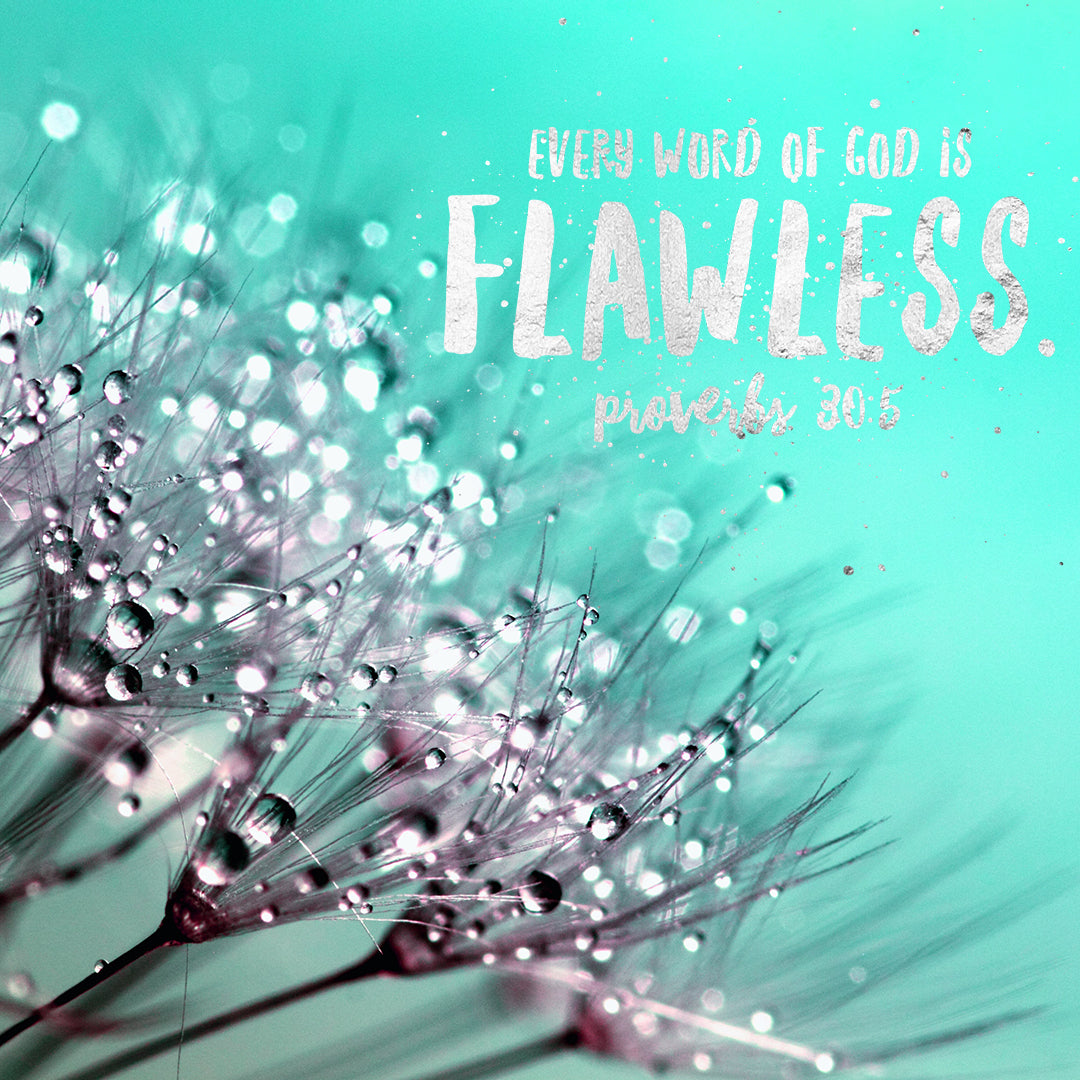 Proverbs 30:5 - Every Word of God - Bible Verses To Go