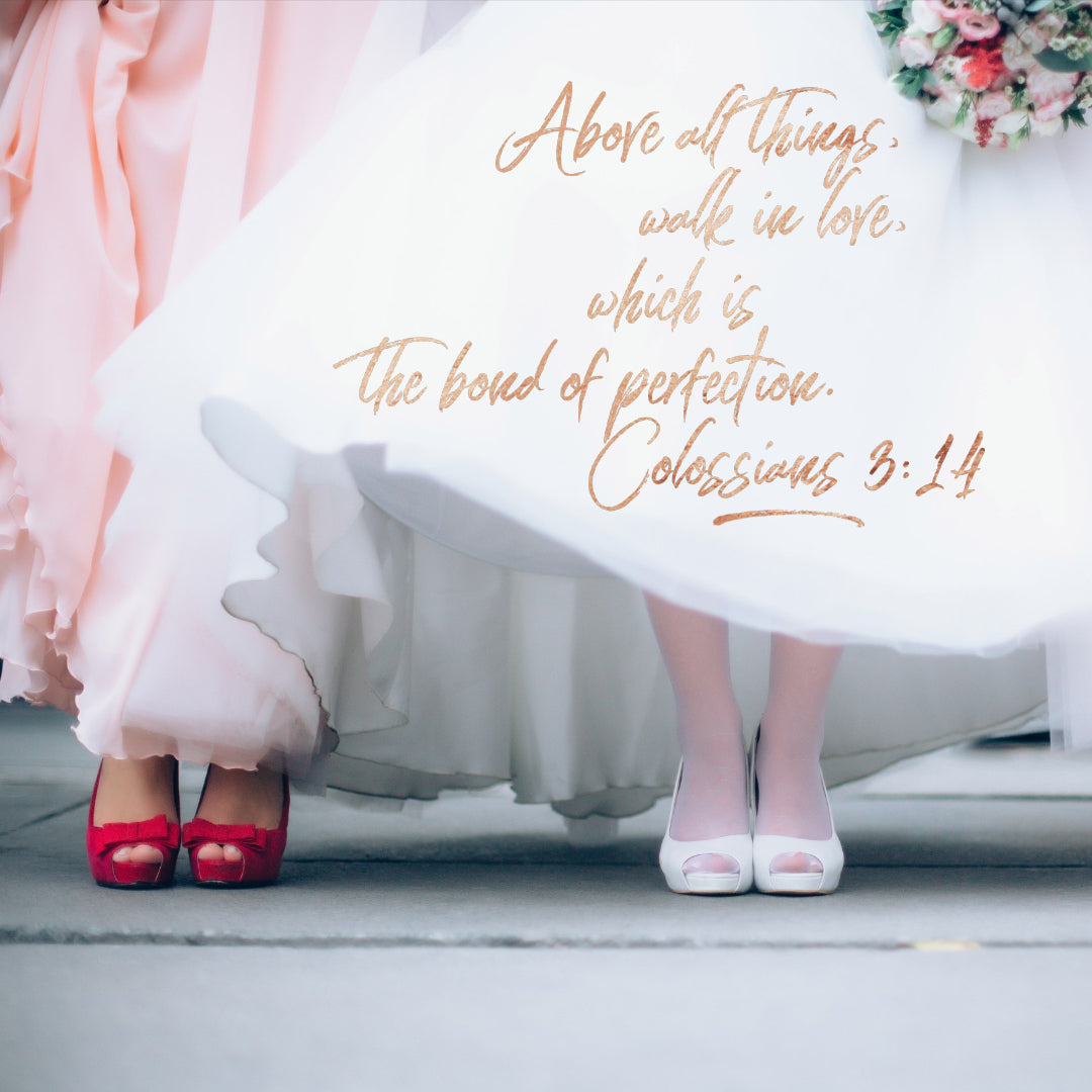 Colossians 3:14 - Walk in Love - Bible Verses To Go