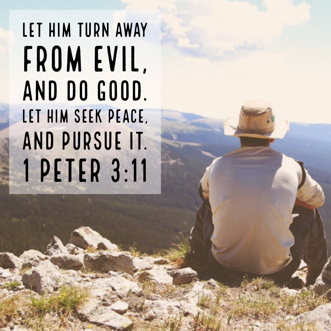 1 Peter 3:11 - Seek Peace and Pursue It