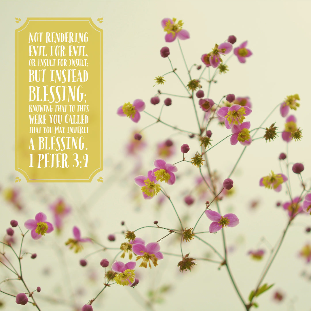 1 Peter 3:9 - Blessing Instead of Insult
