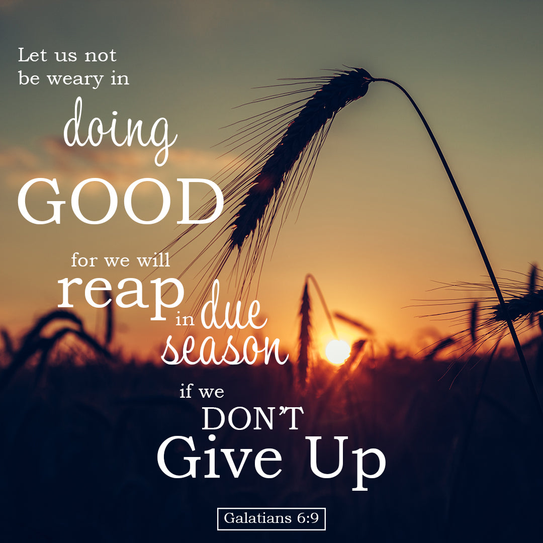 Galatians 6:9 - Doing Good - Bible Verses To Go