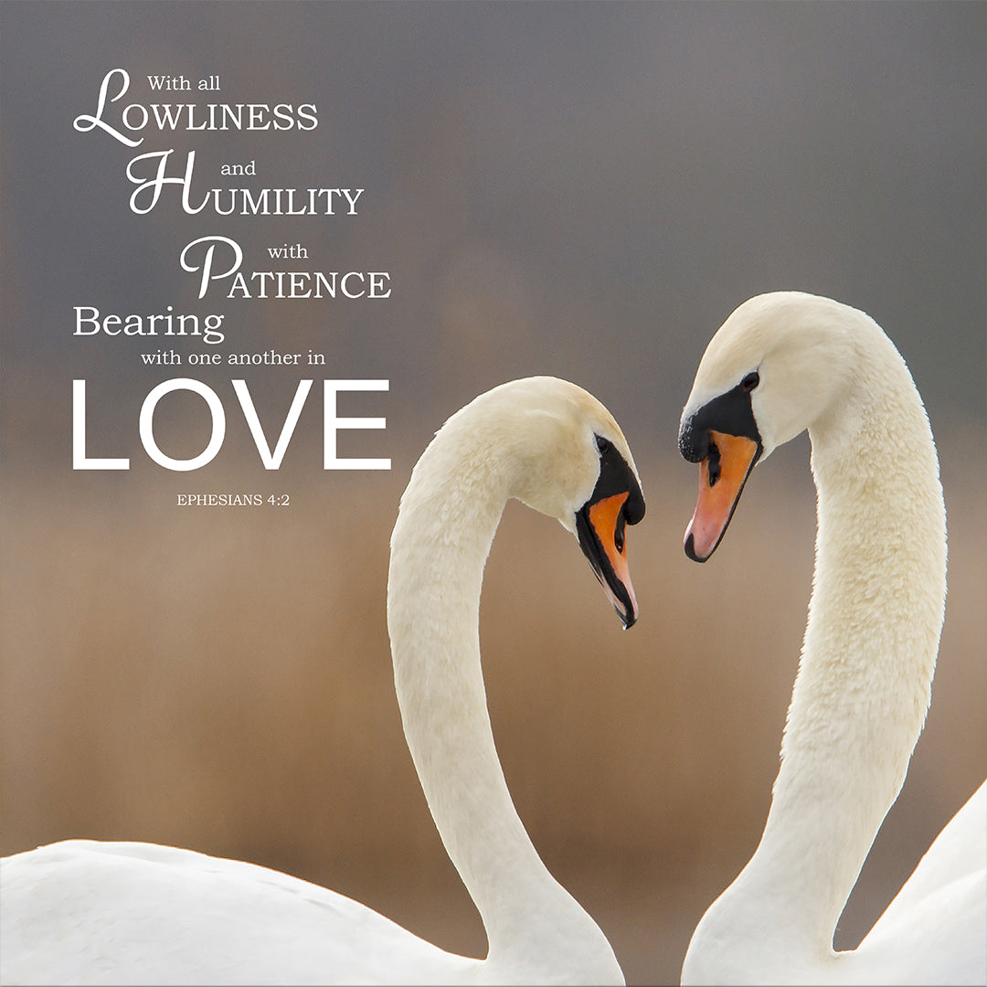 Ephesians 4:2 - In Love - Bible Verses To Go