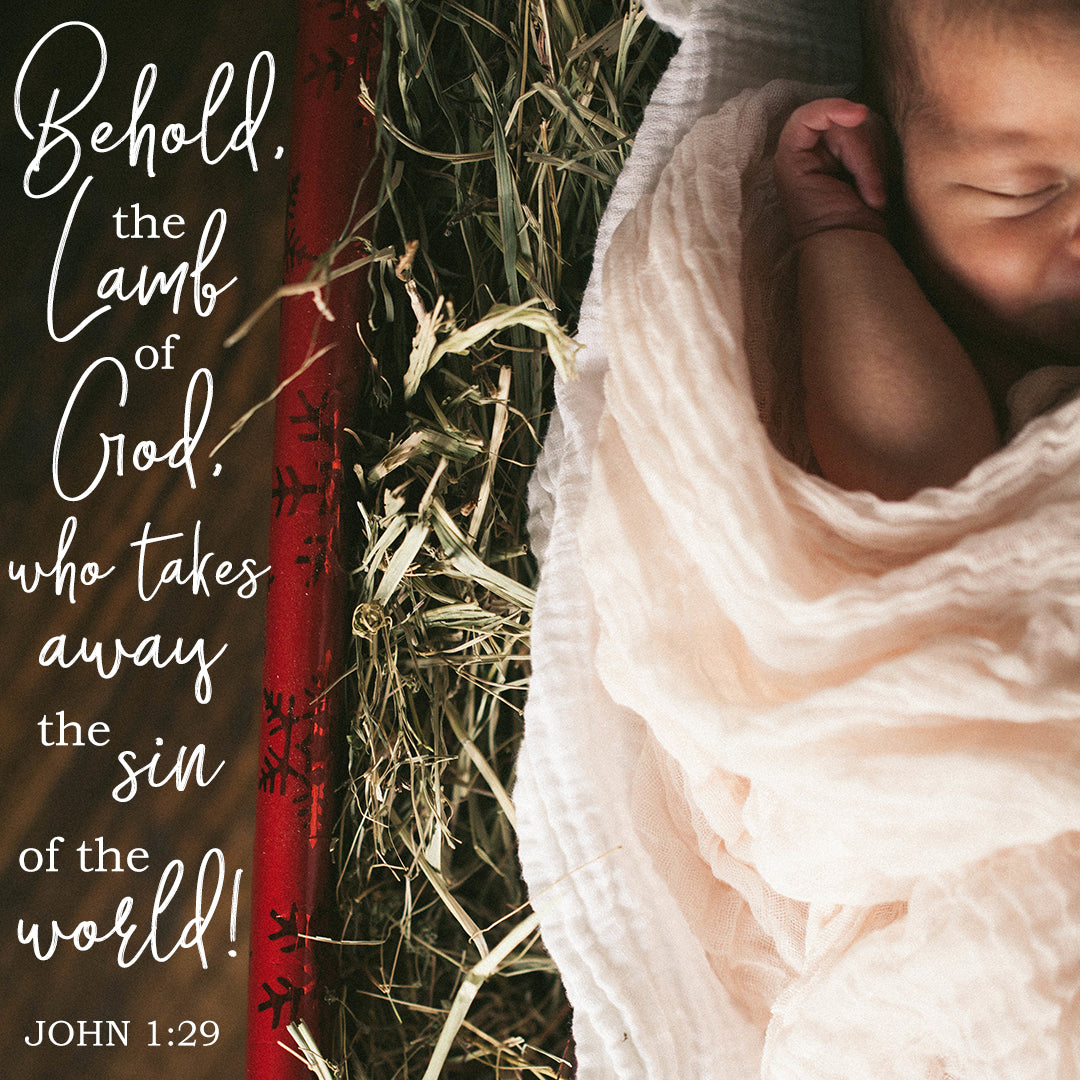 John 1:29 - Behold, the Lamb of God - Bible Verses To Go