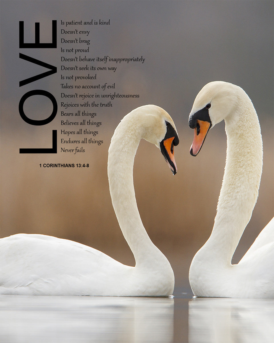 1 Corinthians 13:4-8 - Love - Bible Verses To Go