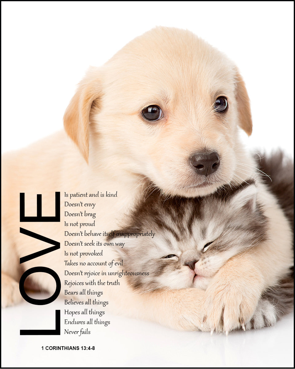 1 Corinthians 13:4-8 - Love - Bible Verses To Go