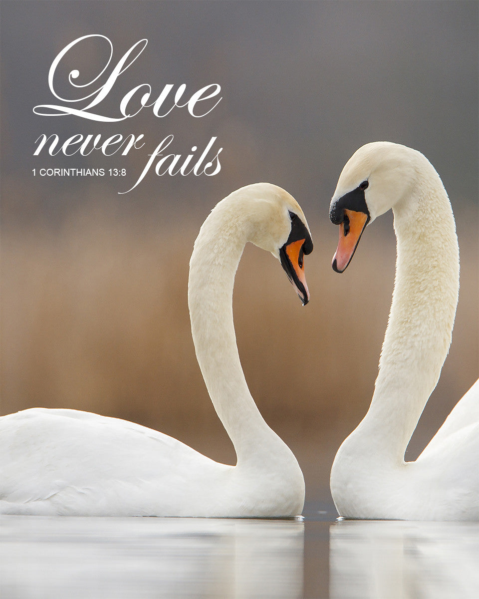 1 Corinthians 13:8 - Love Never Fails - Bible Verses To Go