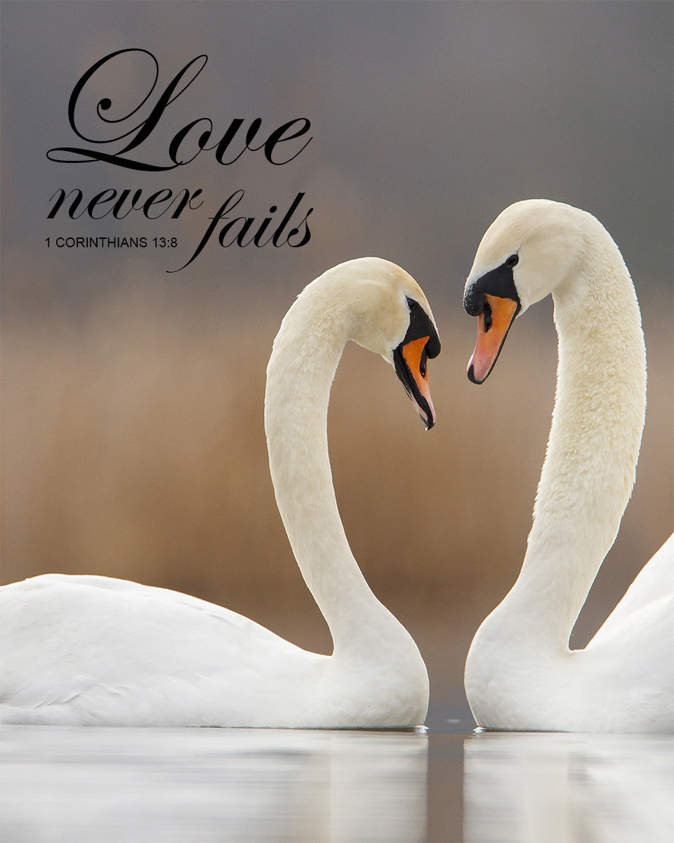 1 Corinthians 13:8 - Love Never Fails - Bible Verses To Go