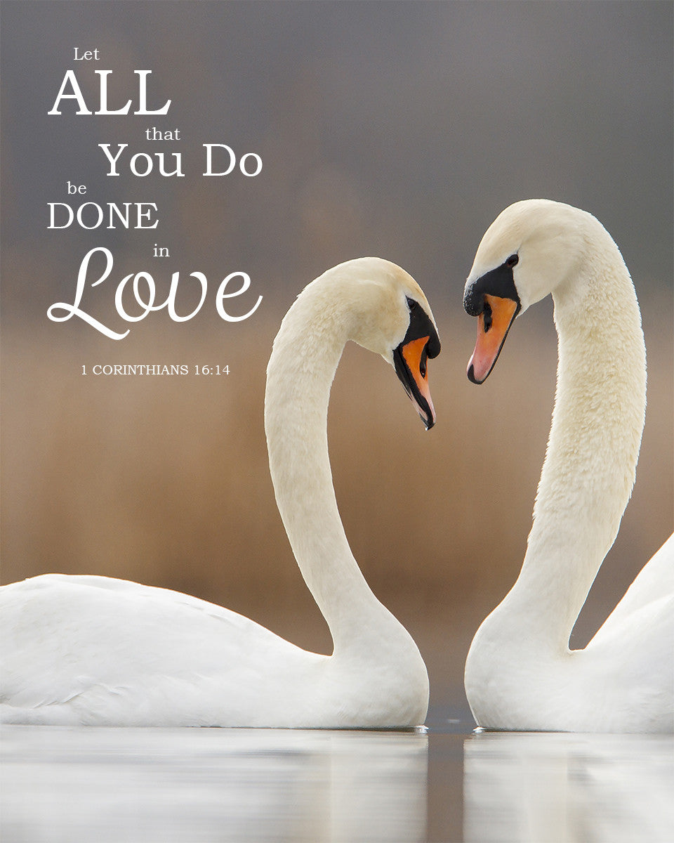 1 Corinthians 16:14 - Done in Love - Bible Verses To Go