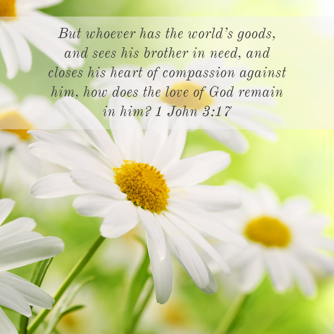 1 John 3:17 - Compassion for People&#39;s Needs - Bible Verses To Go