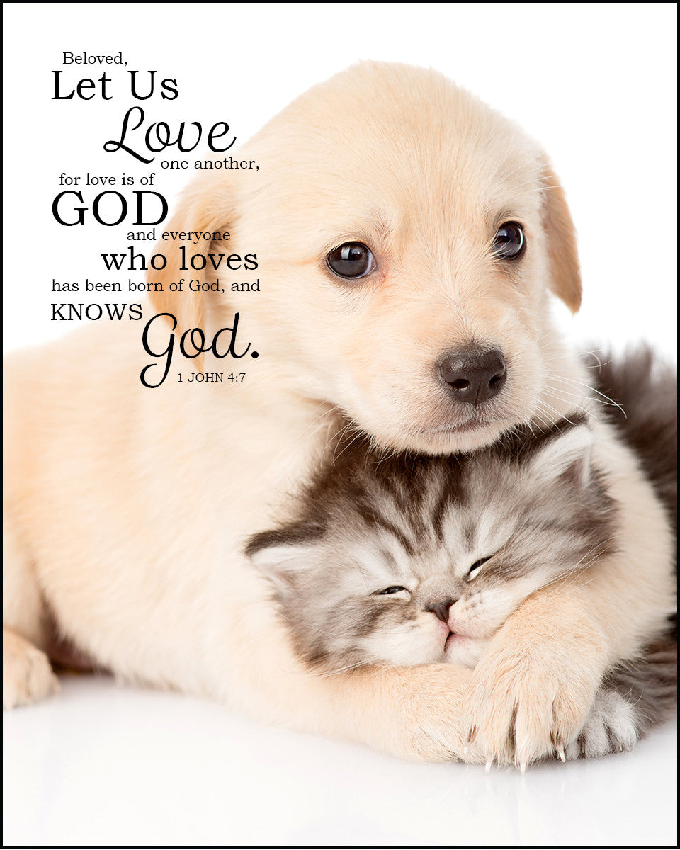 1 John 4:7 - Love One Another - Bible Verses To Go