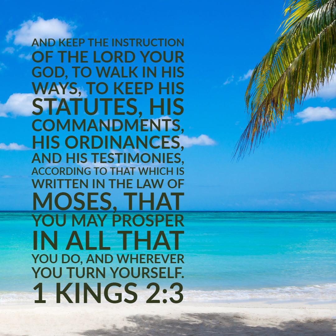 1 Kings 2:3 - Prosper in All You Do - Bible Verses To Go