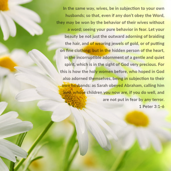 1 Peter 3:1-6 - Beauty More Than Adorning - Free Art Download - Bible ...