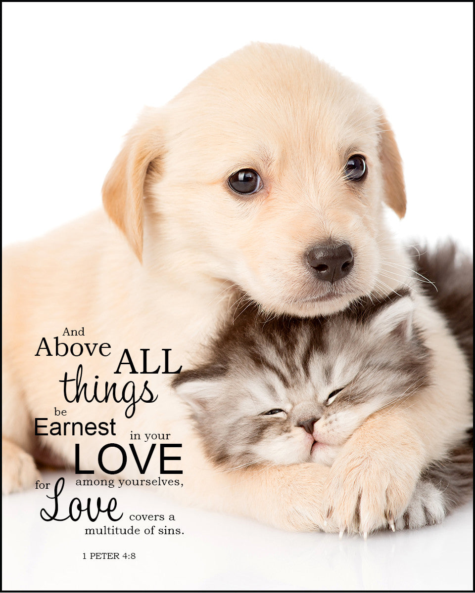 1 Peter 4:8 - Above All Things - Bible Verses To Go