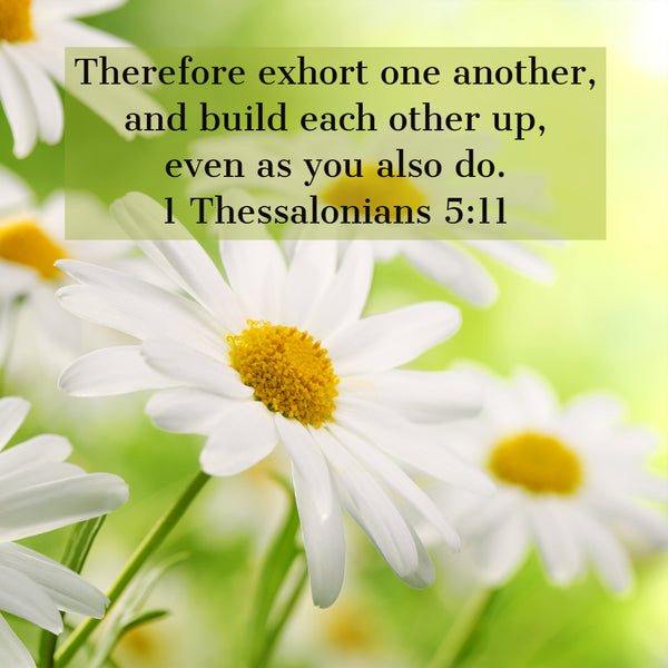 1 Thessalonians 5:11 - Build Each Other Up - Free Art Download - Bible ...