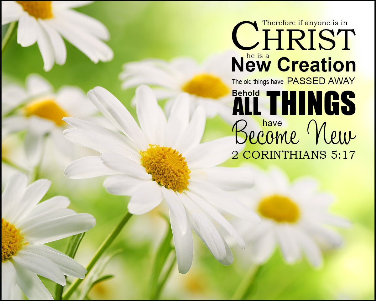 1 Thessalonians 5:18 - Give Thanks - Bible Verses To Go