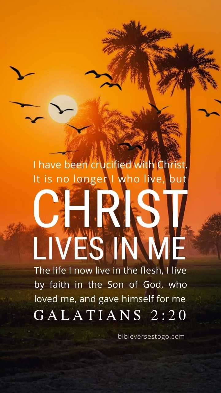 Christian Wallpaper - Africa Sunset Galatians 2:20
