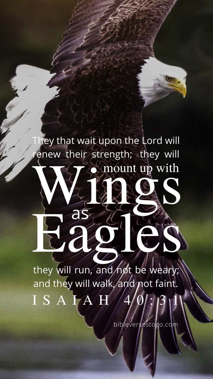 Christian Wallpaper - Bald Eagle Isaiah 40:31