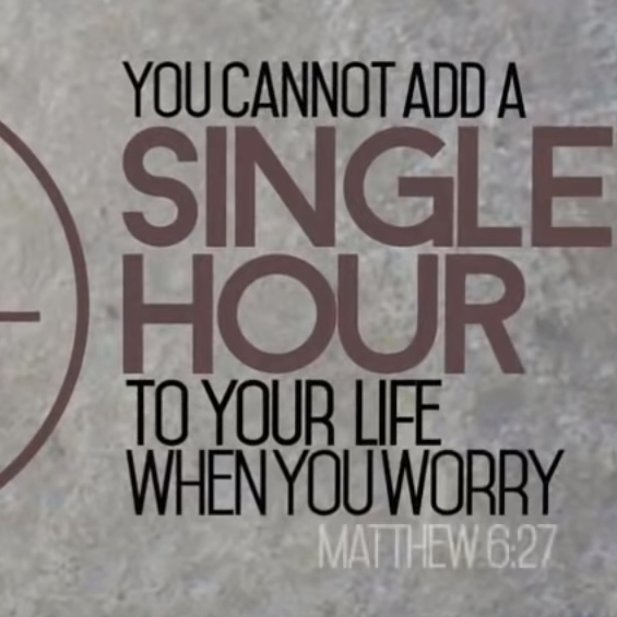 Look at the Birds - VIDEO