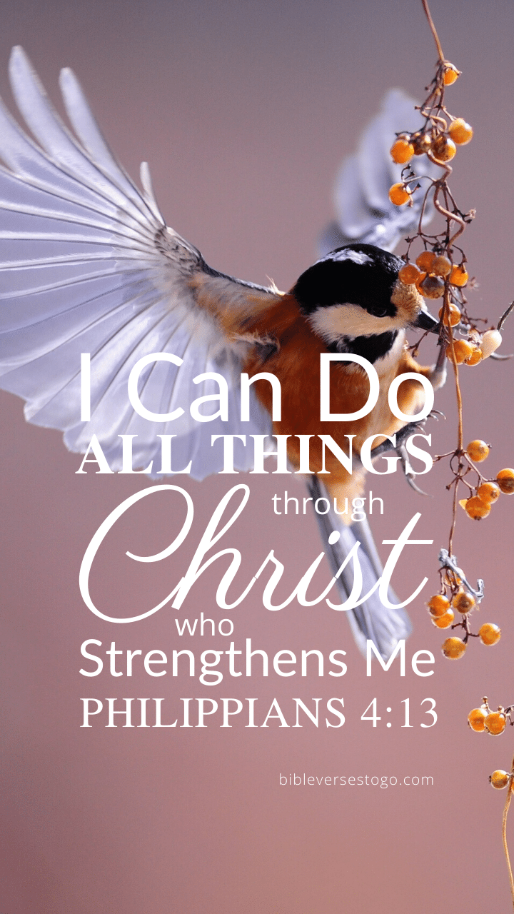 Christian Wallpaper – Birdflight Philippians 4:13