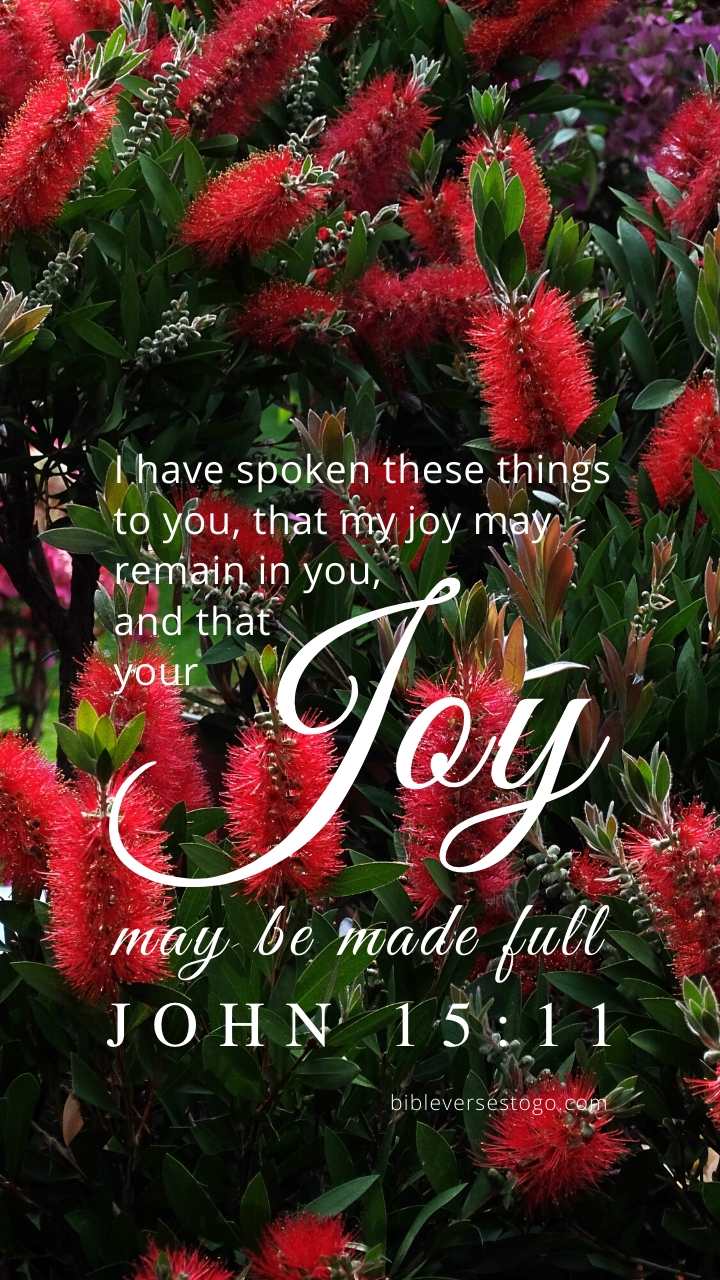 Christian Wallpaper - Bottlebrush John 15:11