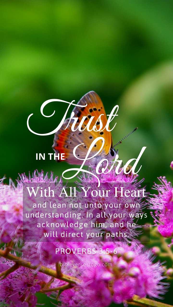 Christian Wallpaper – Butterfly Proverbs 3:5-6