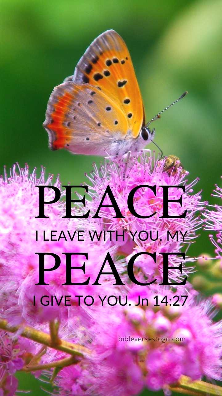 Christian Wallpaper - Butterfly John 14:27