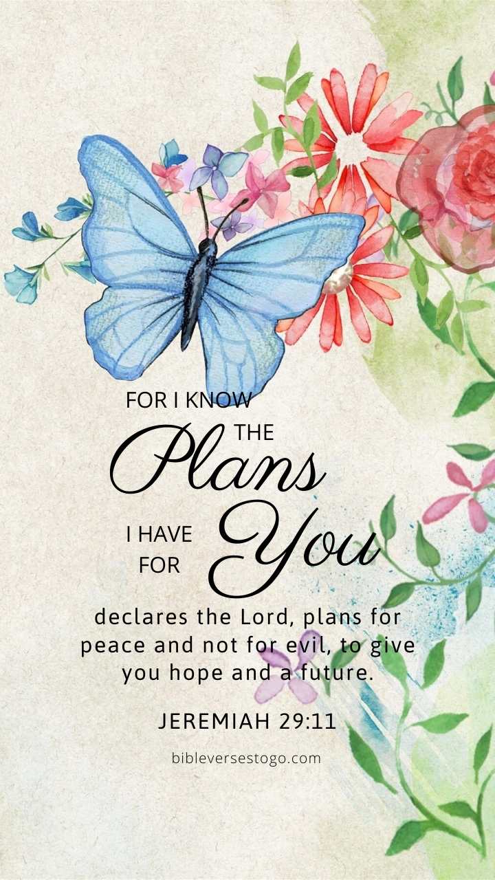 Christian Wallpaper - Butterfly Jeremiah 29:11