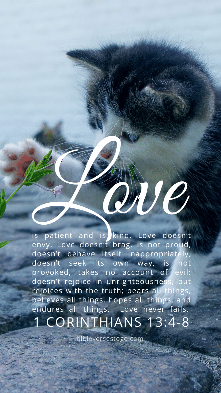 Christian Wallpaper – Cat Paw 1 Corinthians 13:4-8