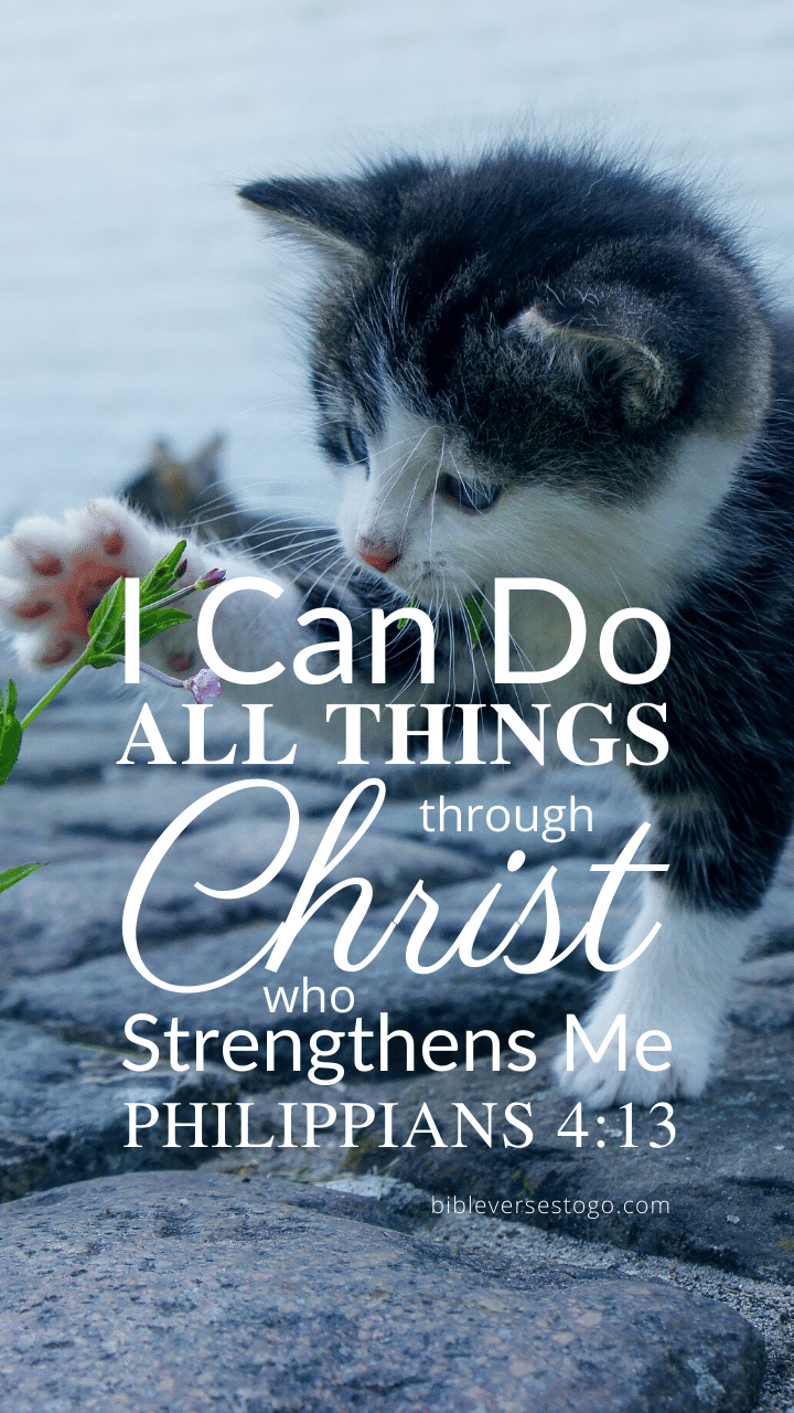 Christian Wallpaper – Cat Paw Philippians 4:13