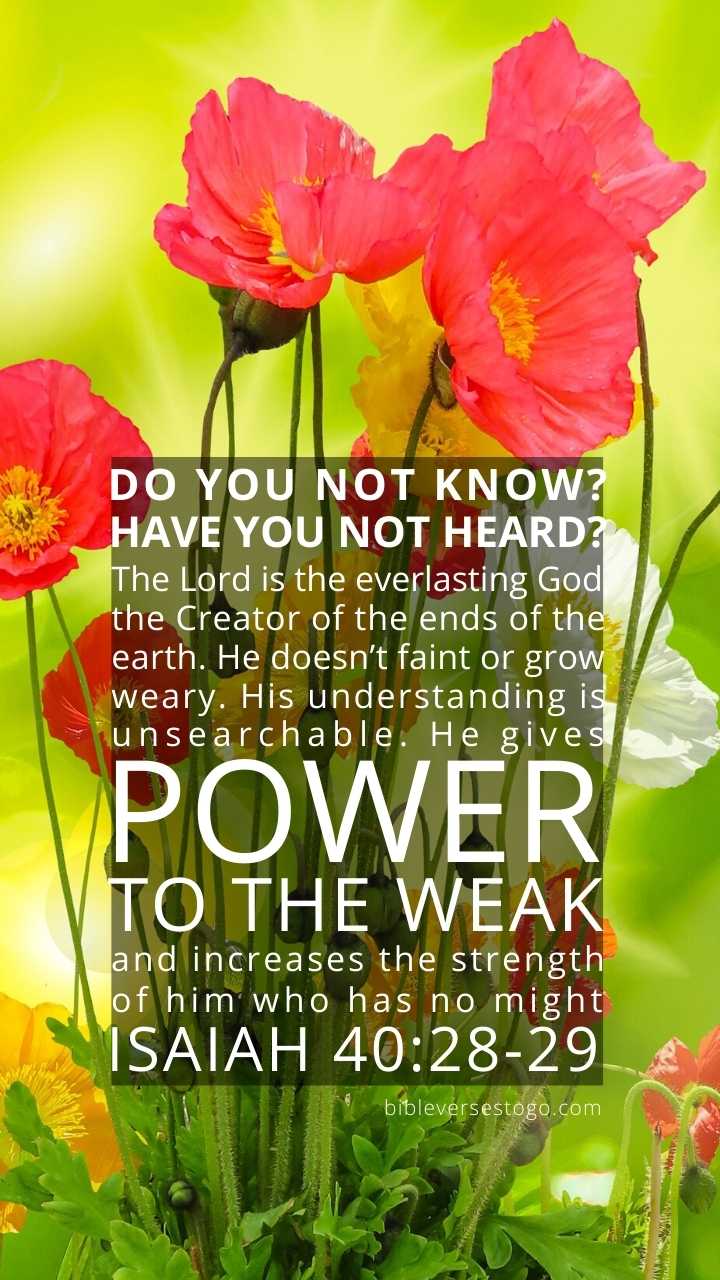 Christian Wallpaper - Cheerful Floral Isaiah 40:28-29