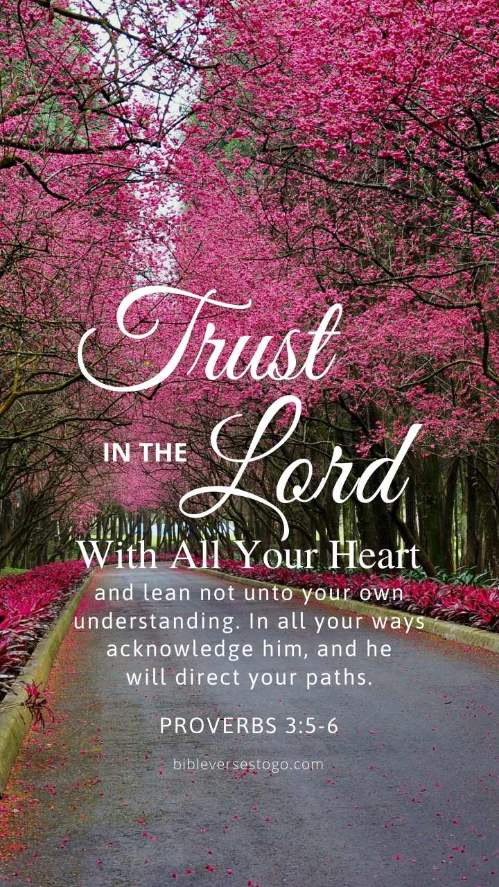 Christian Wallpaper – Cherry Lane Proverbs 3:5-6