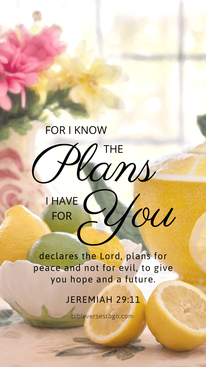 Christian Wallpaper – Citrus Tea Jeremiah 29:11