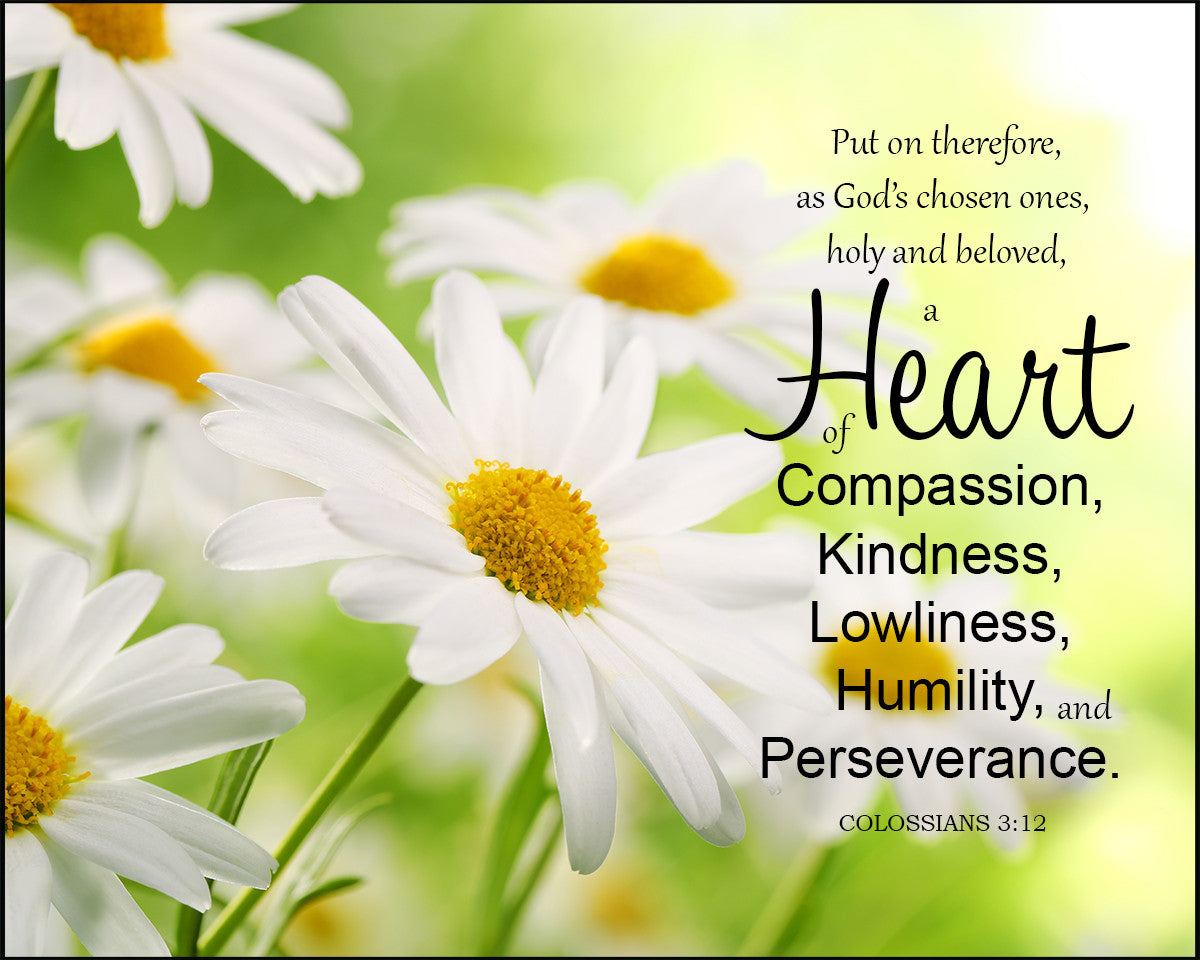 Colossians 3:12 - Heart of Compassion - Bible Verses To Go