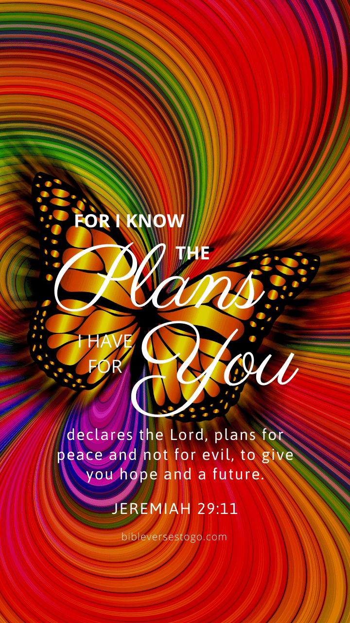 Christian Wallpaper – Colors Jeremiah 29:11