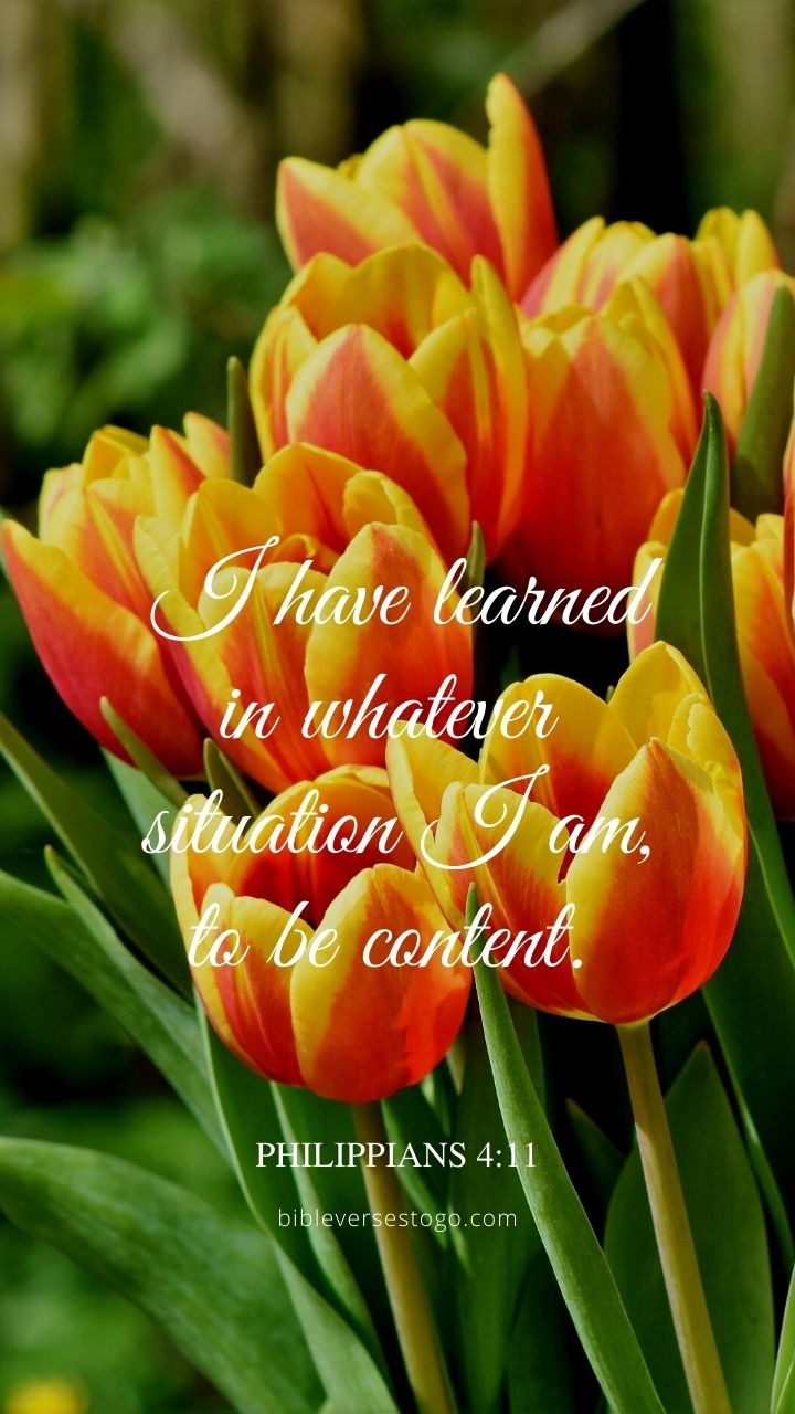 Christian Wallpaper - Contentment Philippians 4:11