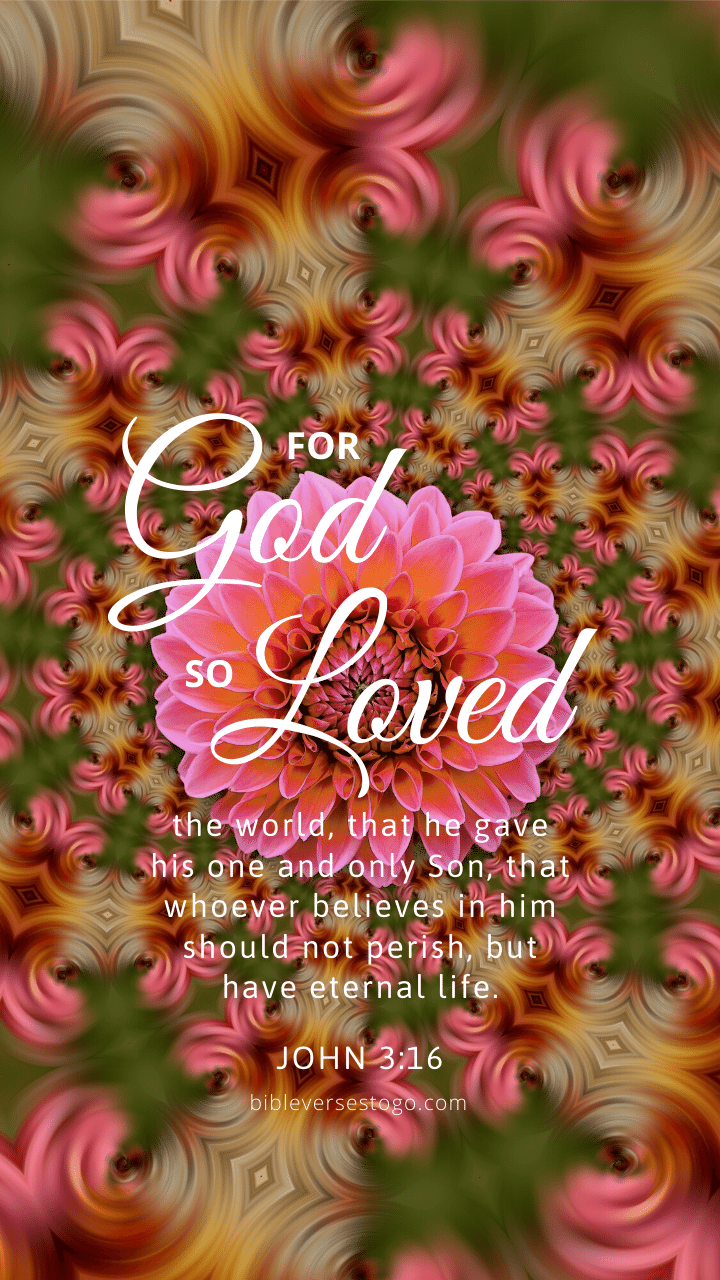 Christian Wallpaper – Dahlia2 John 3:16