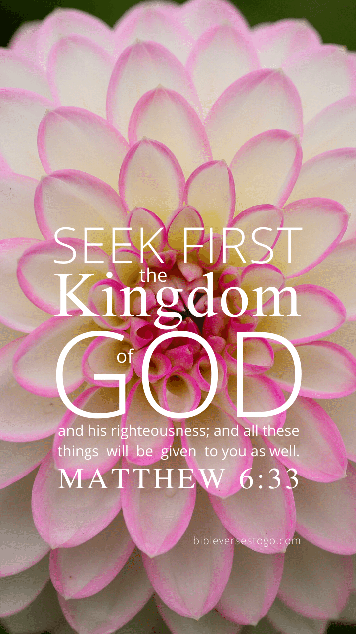 Christian Wallpaper – Dahlia Matthew 6:33