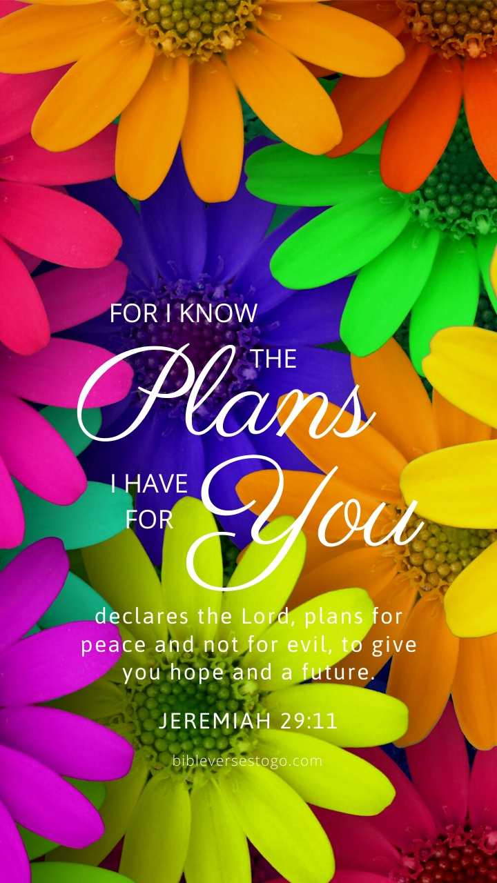 Christian Wallpaper – Daisy Mix Jeremiah 29:11
