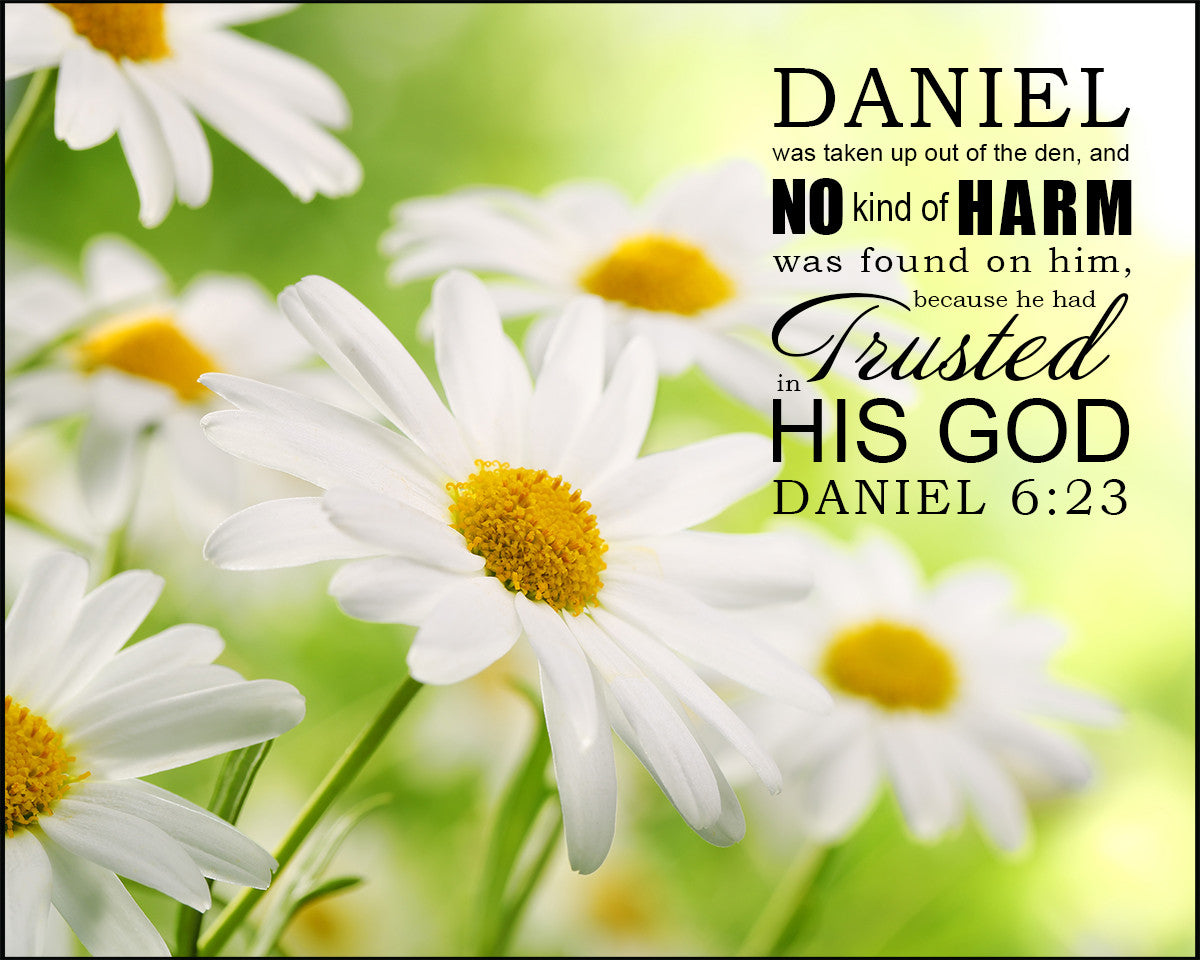 Daniel 6:23 - Trusted in His God - Bible Verses To Go