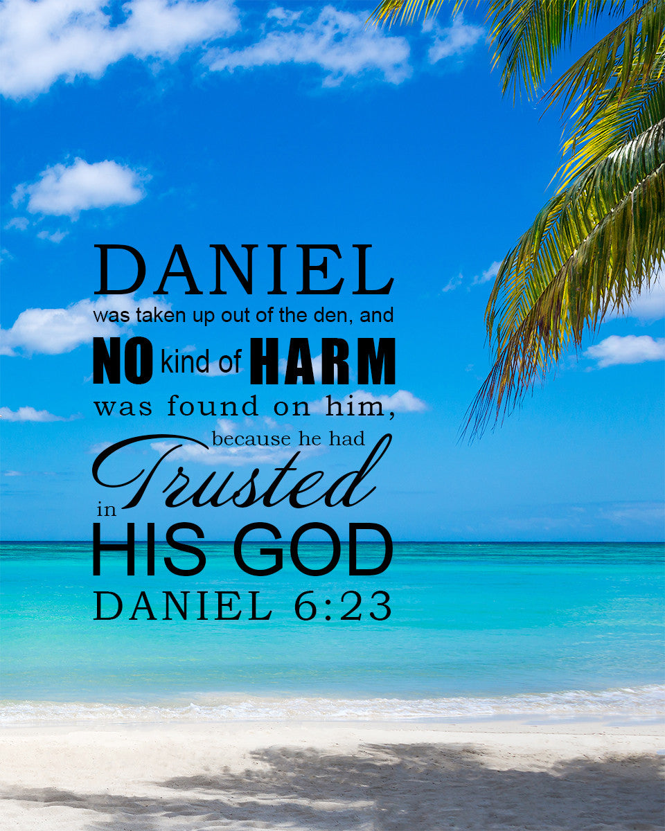 Daniel 6:23 - Trusted in His God - Bible Verses To Go