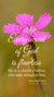 Christian Wallpaper - Dianthus Proverbs 30:5