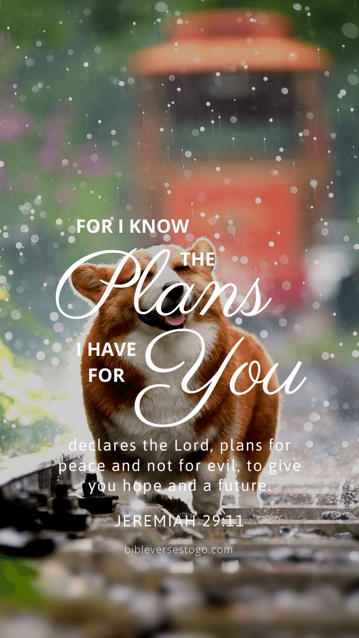 Christian Wallpaper - Dog Smile Jeremiah 29:11